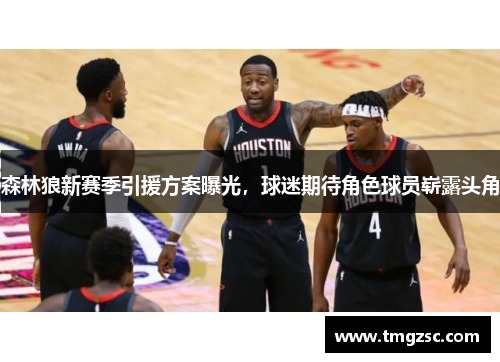森林狼新赛季引援方案曝光，球迷期待角色球员崭露头角