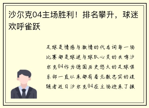 沙尔克04主场胜利！排名攀升，球迷欢呼雀跃