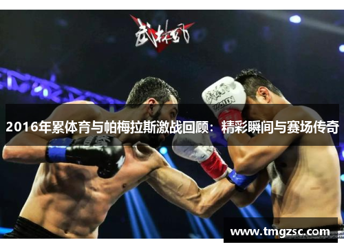2016年累体育与帕梅拉斯激战回顾：精彩瞬间与赛场传奇
