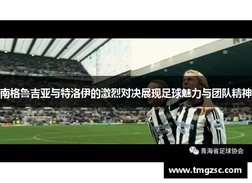 南格鲁吉亚与特洛伊的激烈对决展现足球魅力与团队精神