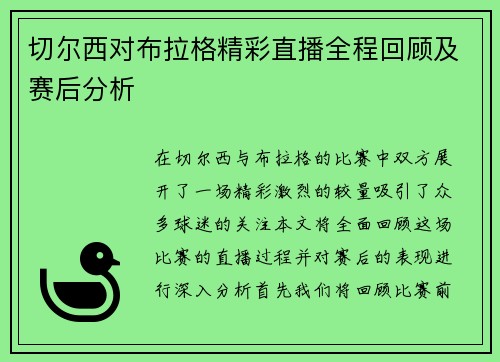 切尔西对布拉格精彩直播全程回顾及赛后分析